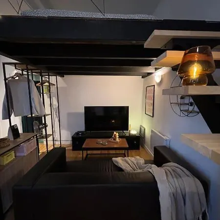 Apartment Cosy Au Coeur De Ville, Mezzanine -203-